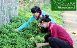 Đồng Nai: Xây dựng nông thôn mới với nhiều mô hình hay của phụ nữ