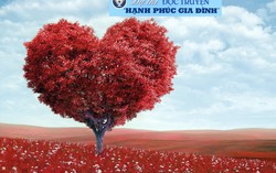 Chúc mừng 3 bạn đoạt giải thi 'đọc truyện Hạnh phúc gia đình' tháng 5