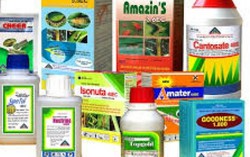 Uống thuốc diệt cỏ vẫn may mắn thoát chết