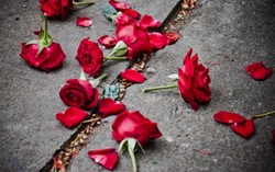 Người yêu tiết lộ bí mật đau lòng đúng ngày Valentine