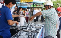 Mở rộng lấy mẫu hải sản miền Trung để xét nghiệm