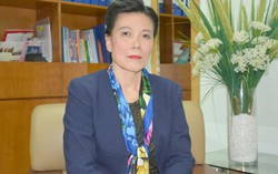 Phụ nữ vượt biên bán bào thai: Đáng trách nhưng cũng rất đáng thương