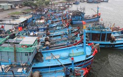 Bão số 5 mạnh thêm, đi vào đất liền từ Quảng Ngãi đến Khánh Hòa