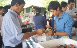 Doanh nghiệp nhỏ 'chào hàng' Tết TP HCM