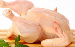 Brazil thu hồi 464 tấn thịt gà do nhiễm khuẩn salmonella