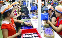 Hà Nội bàn giao 129 đơn vị nợ BHXH để tiến hành khởi kiện