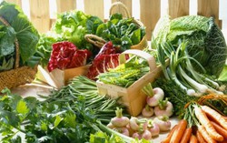 Da xấu vì lạm dụng rau sống