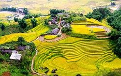Fansipan điểm đến đời người