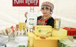 741 ý tưởng khởi nghiệp tham dự cuộc thi 'Phụ nữ và tương lai của nền kinh tế xanh'