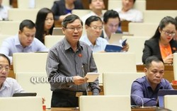 Tội phạm hiếp dâm tăng gần 8%, dâm ô trẻ em tăng hơn 46%