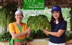 Thăm trang trại rau rừng hữu cơ ở ngoại thành Hà Nội