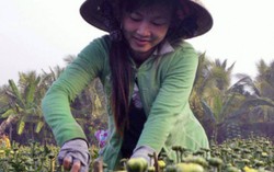 Hỗ trợ nông dân thay đổi tư duy khởi nghiệp, làm giàu thành công