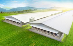 Giải pháp Chuồng trại Công nghệ cao từ doanh nghiệp ngoại