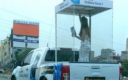 Xử phạt vụ 'nhốt' người đẹp vào lồng kính diễu phố