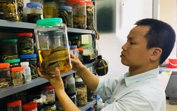 Nhà khoa học vừa trở thành thành viên trẻ của Viện Hàn lâm Khoa học thế giới là ai?