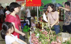 Thanh long, vải thiều giá cao kỷ lục: Mừng đấy lo đấy