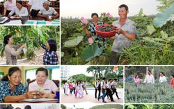 Hơn 2,3 triệu lượt người nghèo Tây Nam bộ được vay vốn ưu đãi