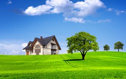 Con gái thuê thám tử tìm tung tích vợ bé con thêm của cha