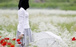 Ánh mắt thôi kiếm tìm