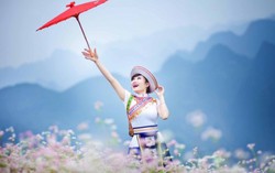 Đổi thời gian tổ chức Lễ hội hoa tam giác mạch Hà Giang 2016