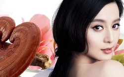 9 lý do nấm linh chi được gọi là 'vua của các loại thảo dược'