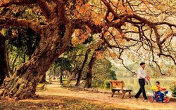 Từ tháng 9 có tuyến phố đi bộ quanh Hồ Gươm
