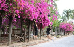 Làng phong Quy Hòa bất ngờ thành điểm check-in độc đáo của giới trẻ