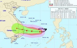 Bão số 6: PTT Trịnh Đình Dũng kiểm tra, chỉ đạo công tác đối phó bão