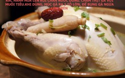 Gà hầm nhân sâm tuyệt hảo