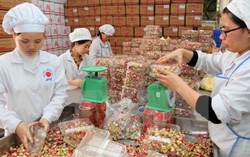 Cắt giảm gần 80% thủ tục hành chính thuộc lĩnh vực thực phẩm