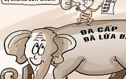 14 doanh nghiệp đa cấp chưa đăng ký hoạt động