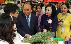 Hà Nội: 170 gian hàng tham gia Hội chợ thúc đẩy kết nối cung cầu sản phẩm OCOP