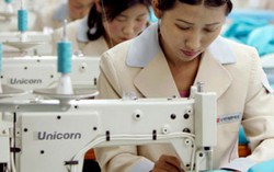 Điểm đầu vào nhiều trường nghề cao hơn đại học