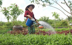 Tăng cường tiếp cận quyền đất đai đối với phụ nữ 