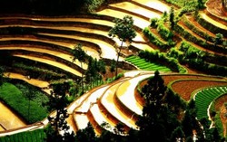 Nhà văn Chu Quang Mạnh Thắng chia sẻ những chuyến phượt nhớ đời