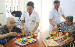 Hướng tới xây dựng chính sách thích ứng già hóa dân số nhạy cảm giới