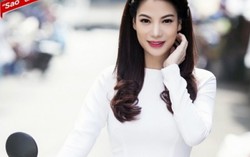 'Người tình tuyệt vời' của Trương Ngọc Ánh
