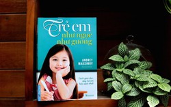 Cha mẹ làm gì khi 'phát điên' với trò nghịch ngợm của con? 