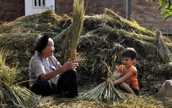 Lang bạt đất khách bỗng cồn cào nhớ ký ức tuổi thơ