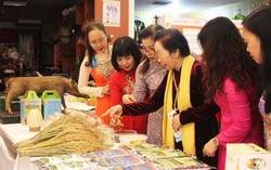 Ấn tượng triển lãm ‘Phụ nữ trong khoa học và sáng tạo’