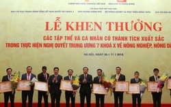 Agribank nhận bằng khen của Thủ tướng về thành tích 'Tam nông'