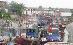 Bão qua nhanh Hải Phòng, Ninh Bình