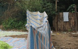 Phát hiện hơn 7.000 cơ sở vi phạm an toàn thực phẩm