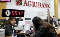 Agribank đứng trong Top10 – Bảng xếp hạng 500 DN lớn nhất Việt Nam