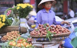 Trái cây 'cháy hàng', tăng giá đột biến sát ngày Tết Đoan Ngọ