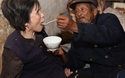 Chồng chăm vợ bại liệt suốt 46 năm với tình yêu đáng ngưỡng mộ