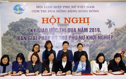 Cụm thi đua Hội LHPN các tỉnh đồng bằng sông Hồng: Bàn giải pháp hỗ trợ phụ nữ khởi nghiệp