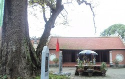 Chuyện tình ngang trái của nàng công chúa nhà Trần