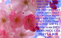 Những lời chúc 20/11 ý nghĩa gửi tới thầy cô (P.1)