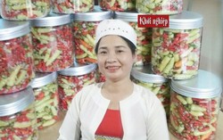 Trồng ớt rừng theo hướng sinh học đổi thay cuộc sống phụ nữ Lạc Sơn